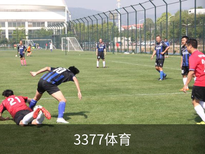 关于3377体育
